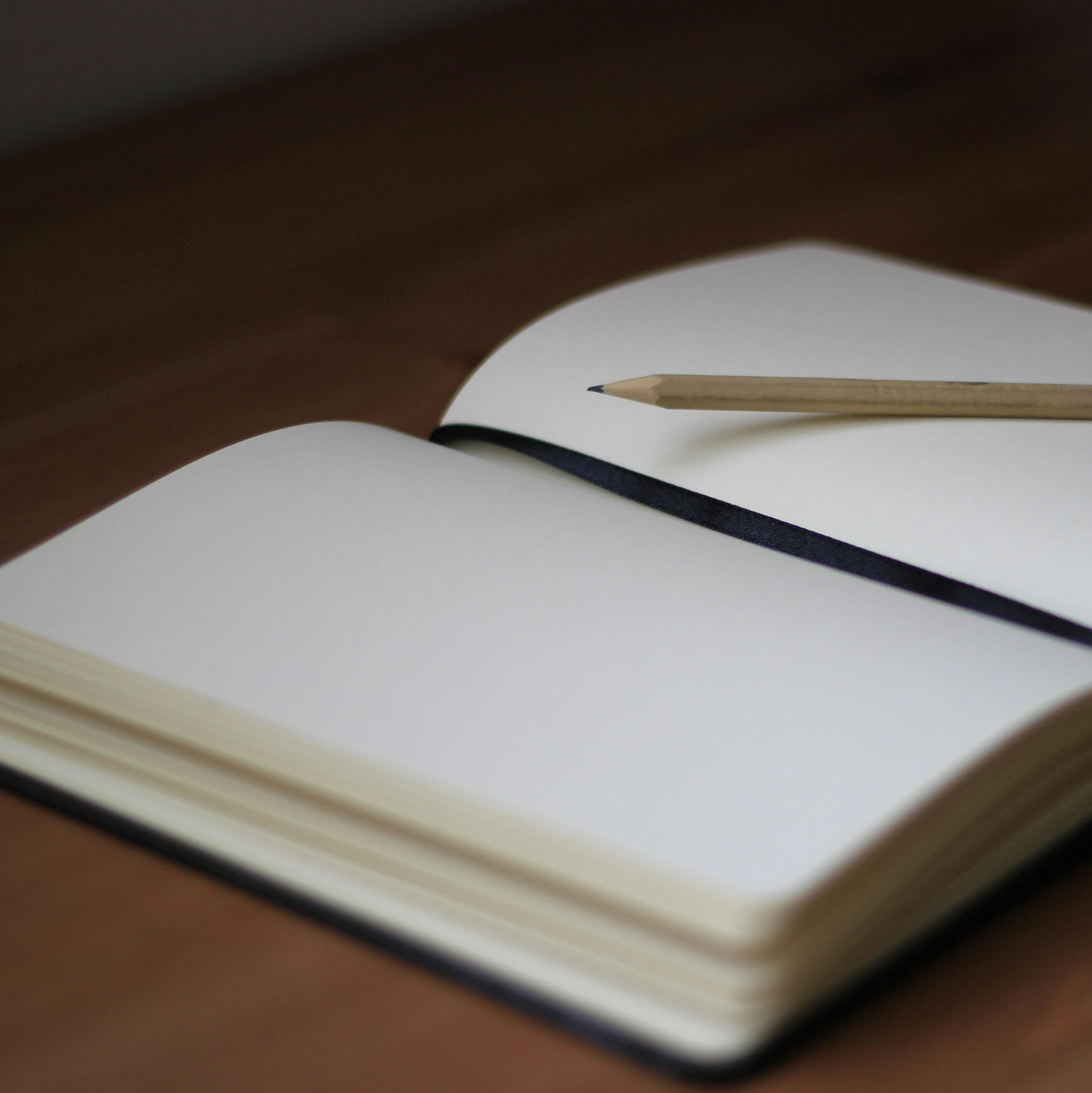 Photo by Jan Kahánek on Unsplash an open journal with blank pages and a pencil sitting on top of it