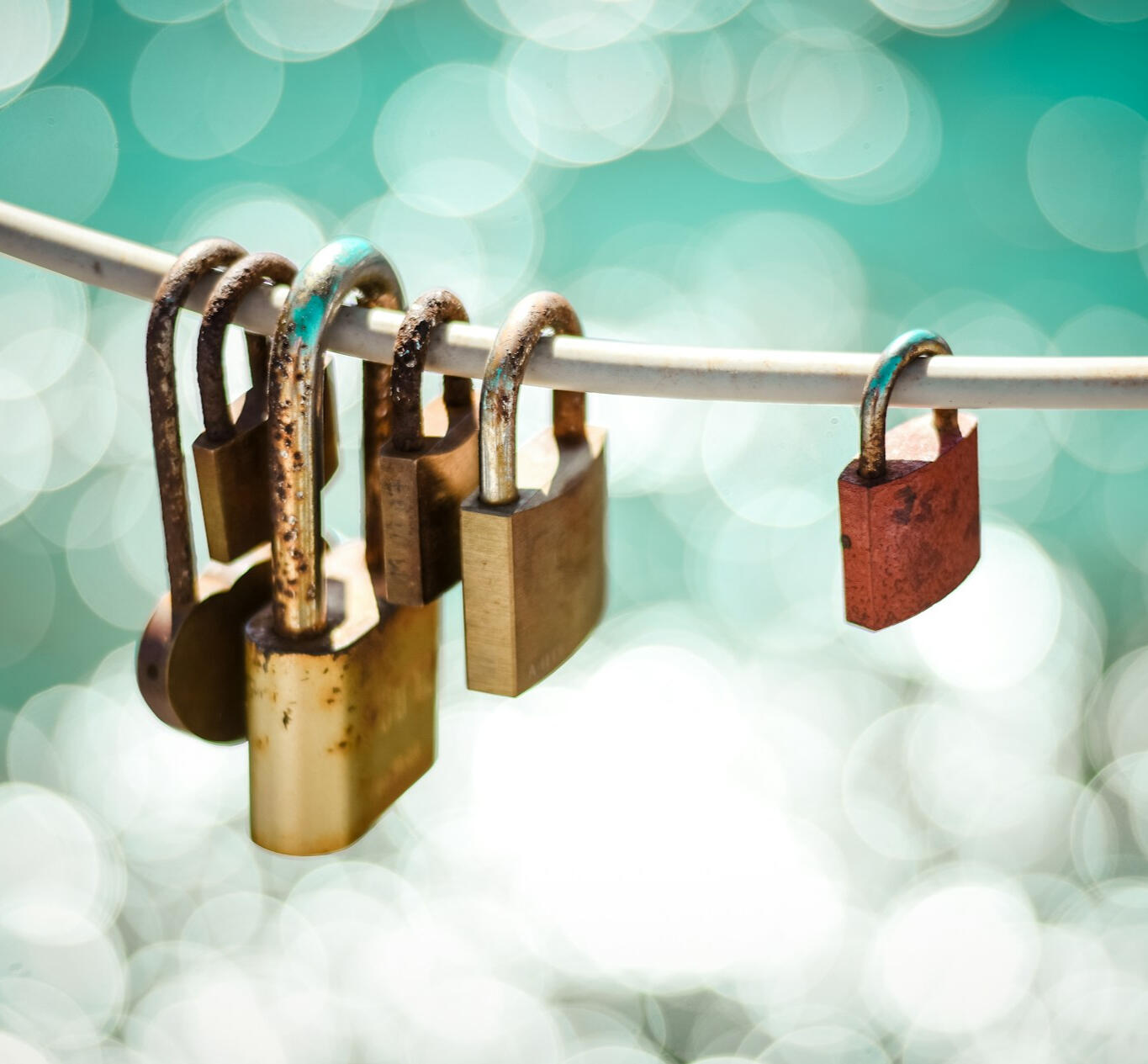 some old padlocks on a string in front of a blurry background of green and white circles